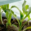 Agrimpex Agro-Marina 1,6x10 m Turkos