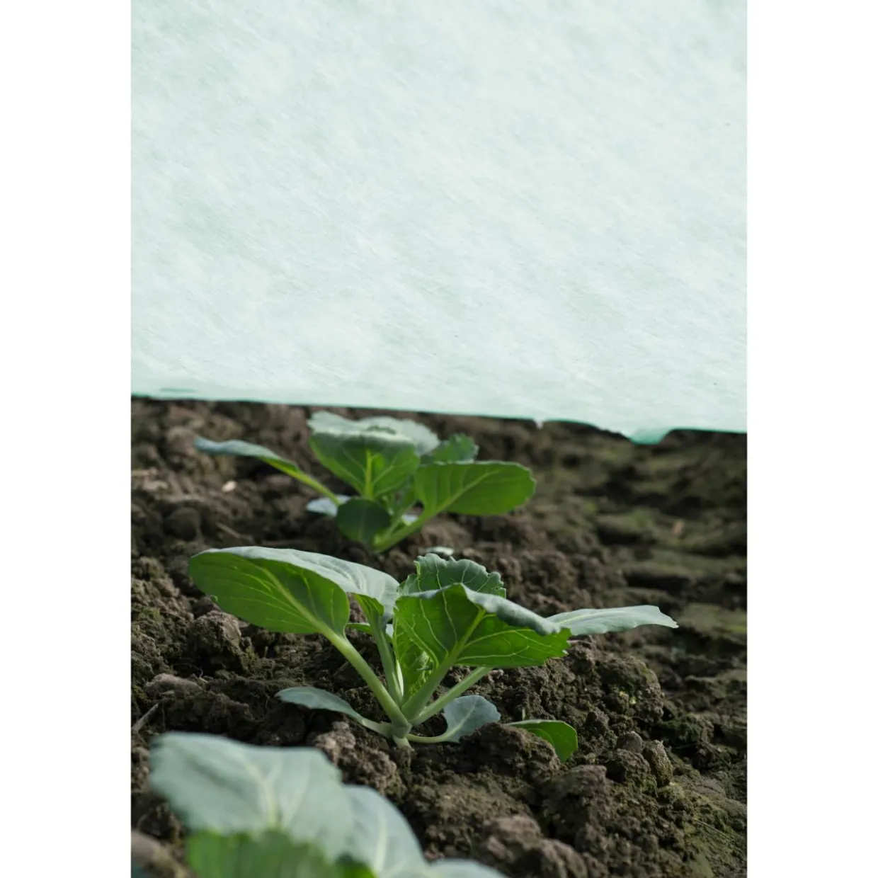 Agrimpex Agro-Marina 1,6x10 m Turkos