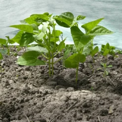 Agrimpex Agro-Marina 1,6x10 m Turkos