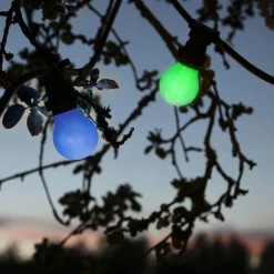 B22 A55 Outdoor Lighting Grön 0,9W