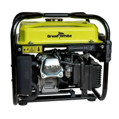 Bärbart 2000W