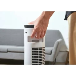 81 cm