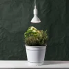 E27 PAR38 Plant Light Röd