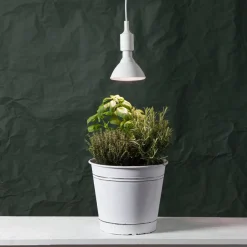 E27 PAR38 Plant Light Röd