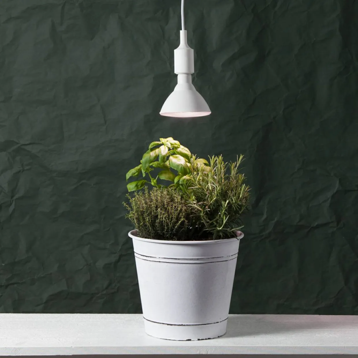 E27 PAR38 Plant Light Röd
