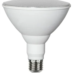 E27 PAR38 Plant Light Varmvit