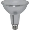 E27 PAR38 Spotlight Glass Dimbar 13W