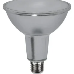 E27 PAR38 Spotlight Glass Dimbar 13W