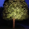 E27 PAR38 Spotlight Outdoor Silver