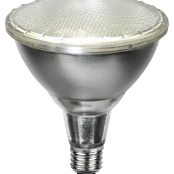 E27 PAR38 Spotlight Outdoor Silver