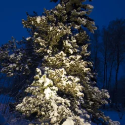 E27 PAR38 Spotlight Outdoor Svart