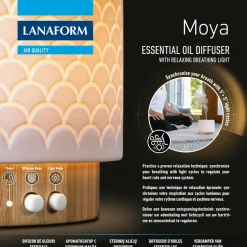 Moya