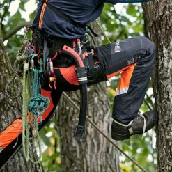 Technical Extreme Arborist