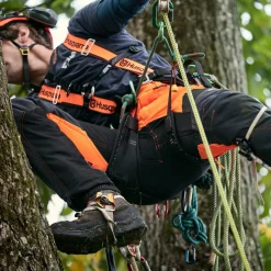 Technical Extreme Arborist