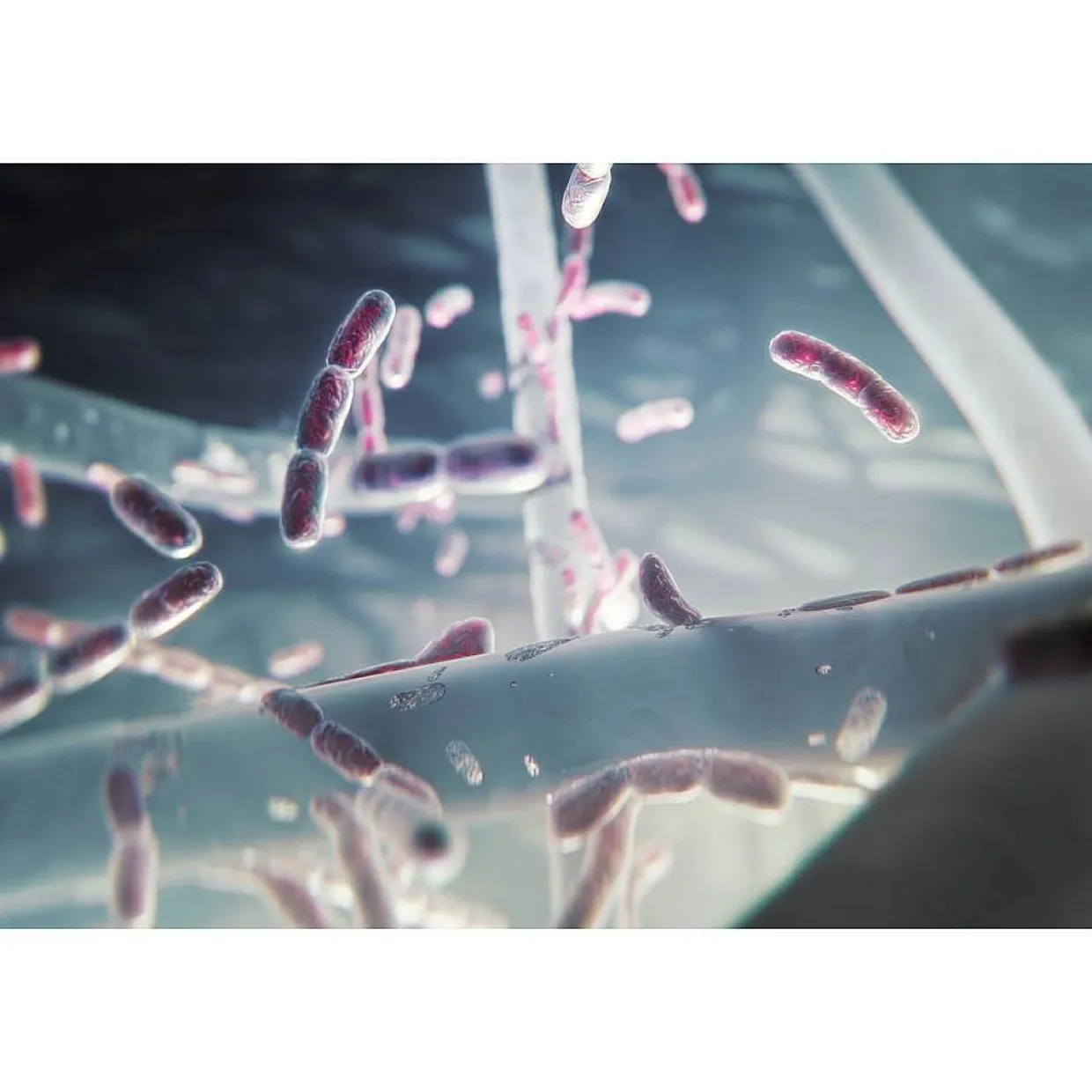Ultrafine Particle Filter Pure 500