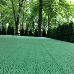 XL Spring Grass