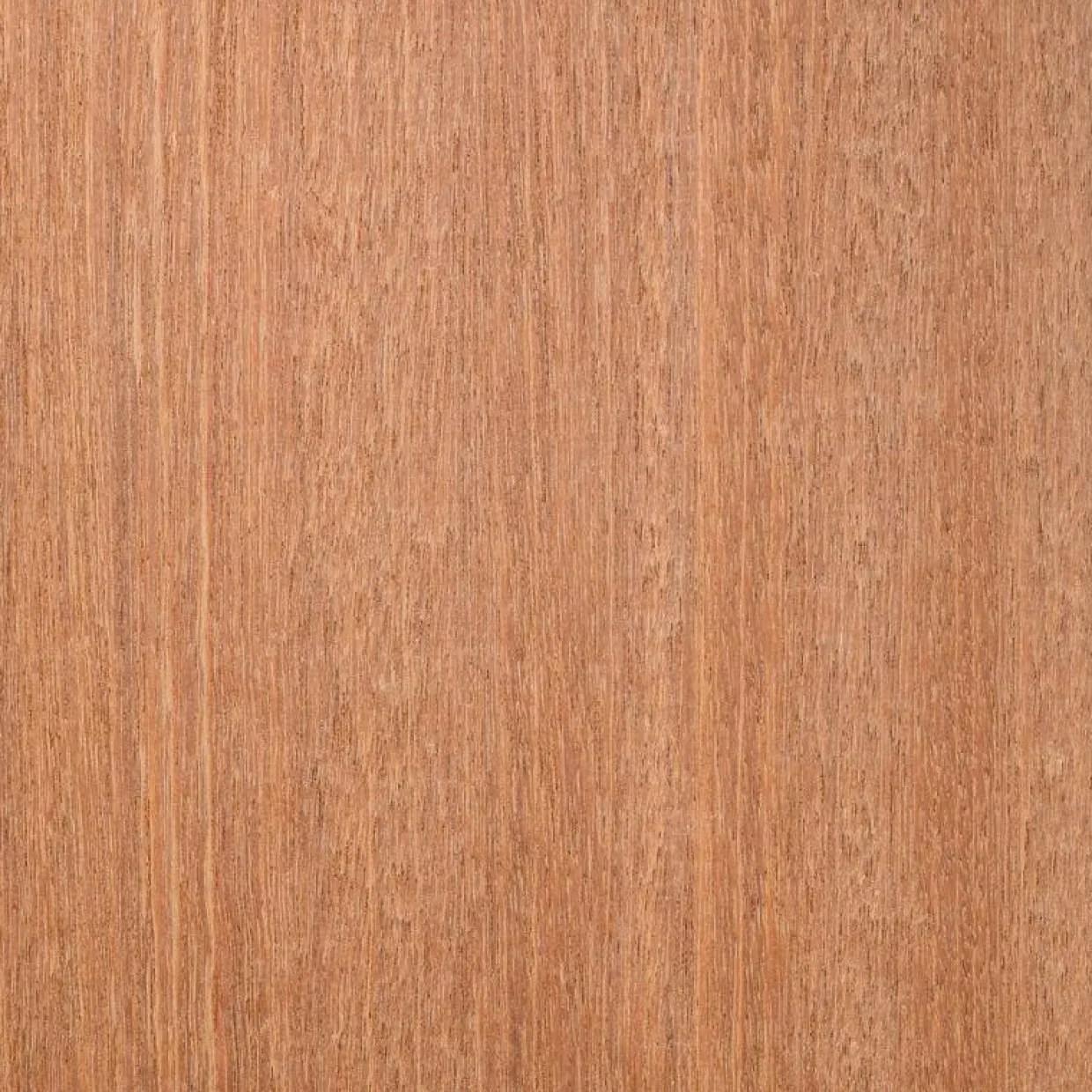 45x145 mm